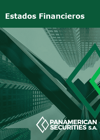 Estados Financieros Panamerican Securities